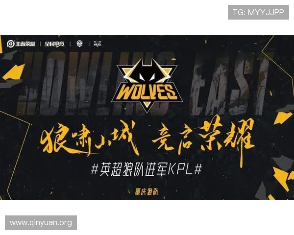 万博狼队在线：如何选择合适的战队加入，提升竞技水平的实用建议